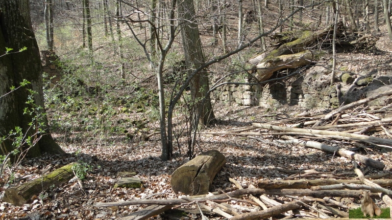 Ritterstein Nr. 281-12a Leiningische Hofruine Weilach.JPG - Ritterstein Nr.281 Leiningische Hofruine Weilach